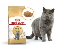 Роял Канин British Shorthair Adult сухой корм для Британских короткошерстных кошек старше 12мес.400г