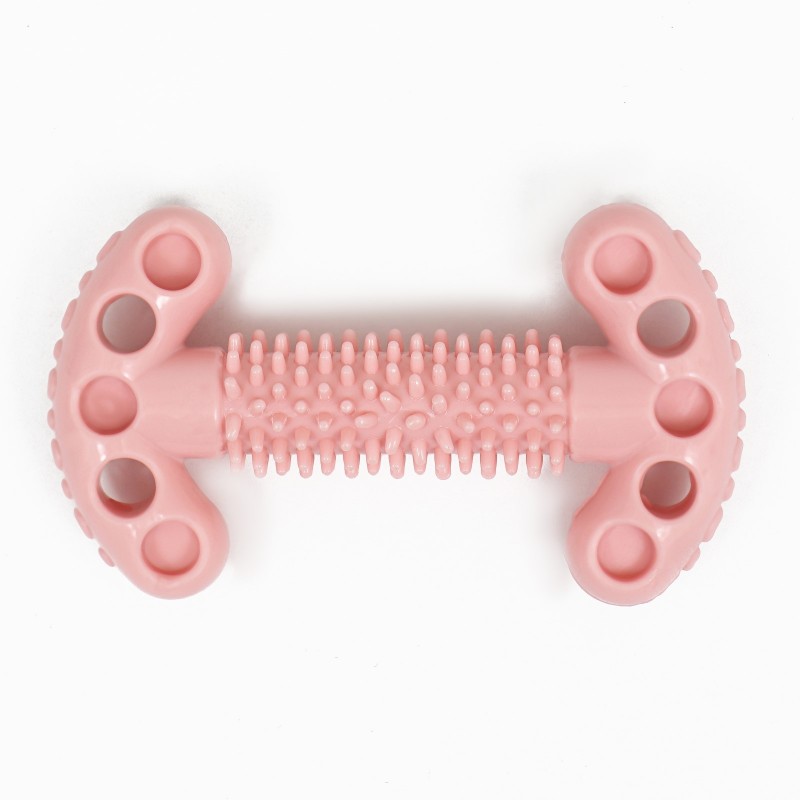 Игрушка для собак "Ключ", TPR, массажная, 12 х 3,5 х 5 см, розовая