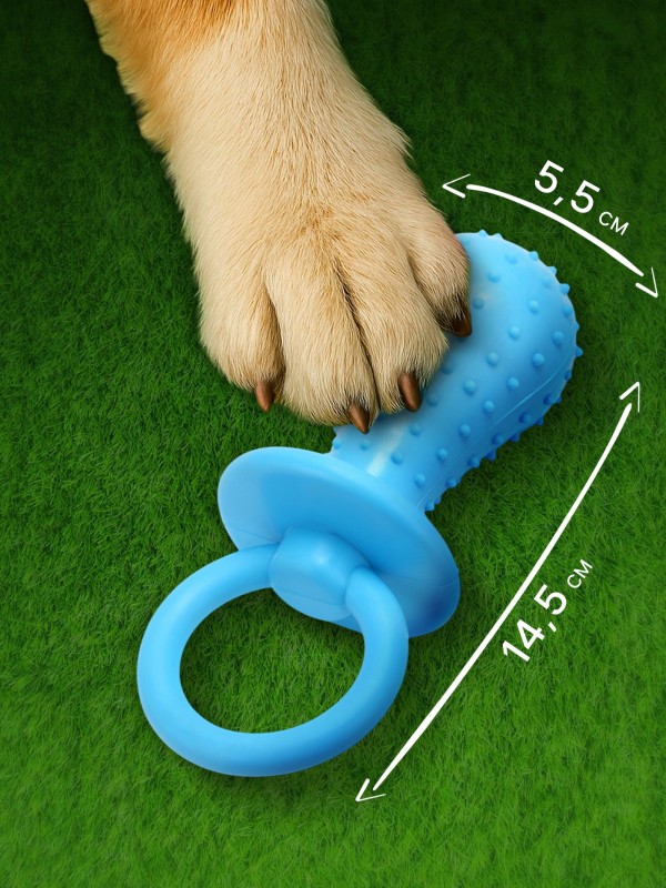 Игрушка жевательная «Пустышка для малышки», TPR, 14.5 см, голубая.