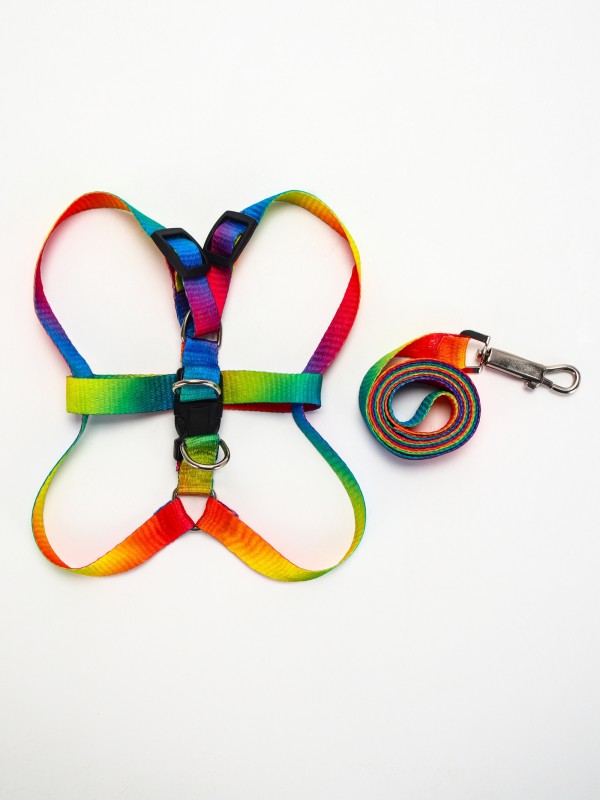 Комплект «Радуга», капрон, поводок 120×1.5 см, ОГ 24-34 см, разноцветный.