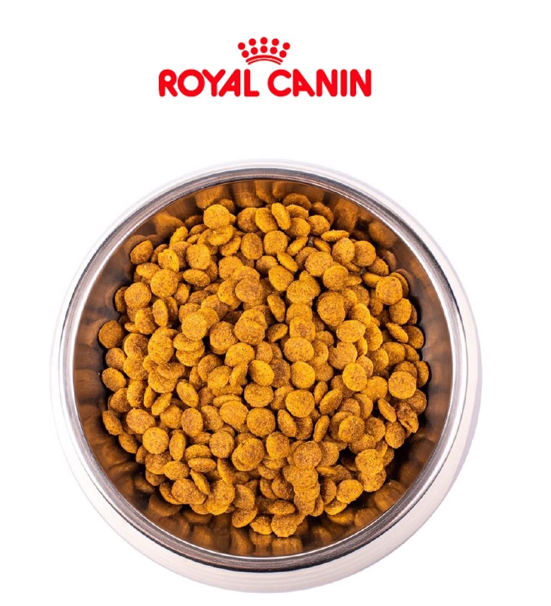 Роял Канин Kitten сухой корм НА РАЗВЕС для котят до 12 мес. 1кг