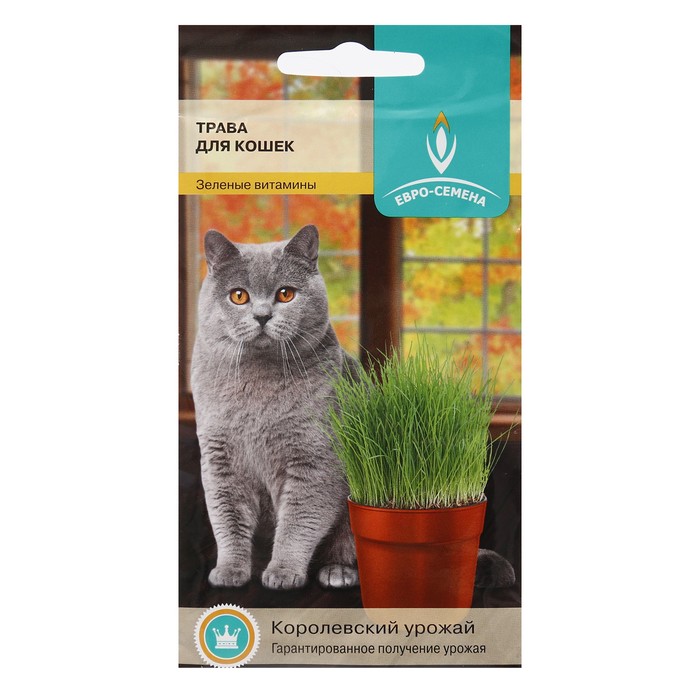 Трава для кошек 10г Евро-семена