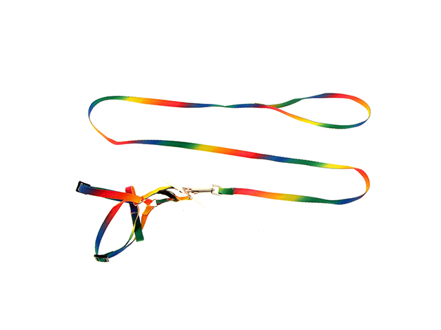 Комплект 12 поводок+шлейка,капрон,РАДУГА, для кошек /0020