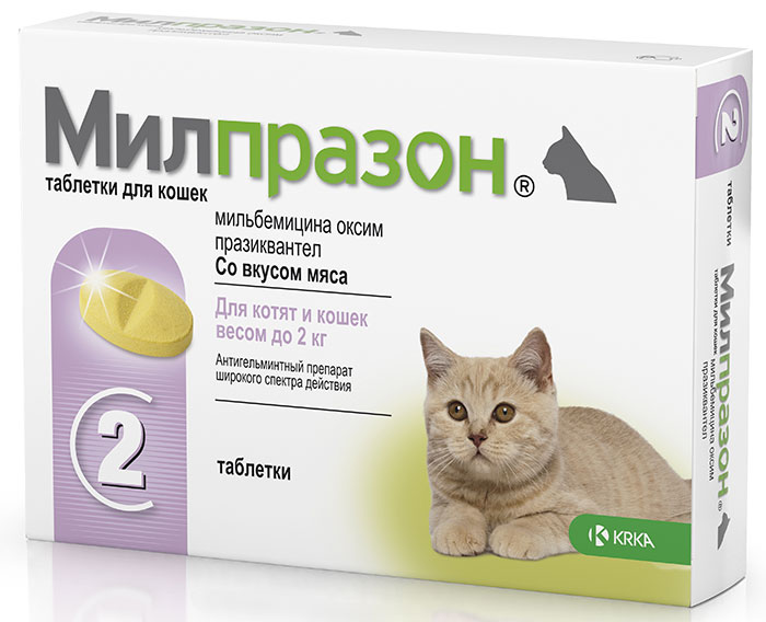 Милпразон Антигельминтик для кошек и котят 4мг/10мг (1 таблетка)