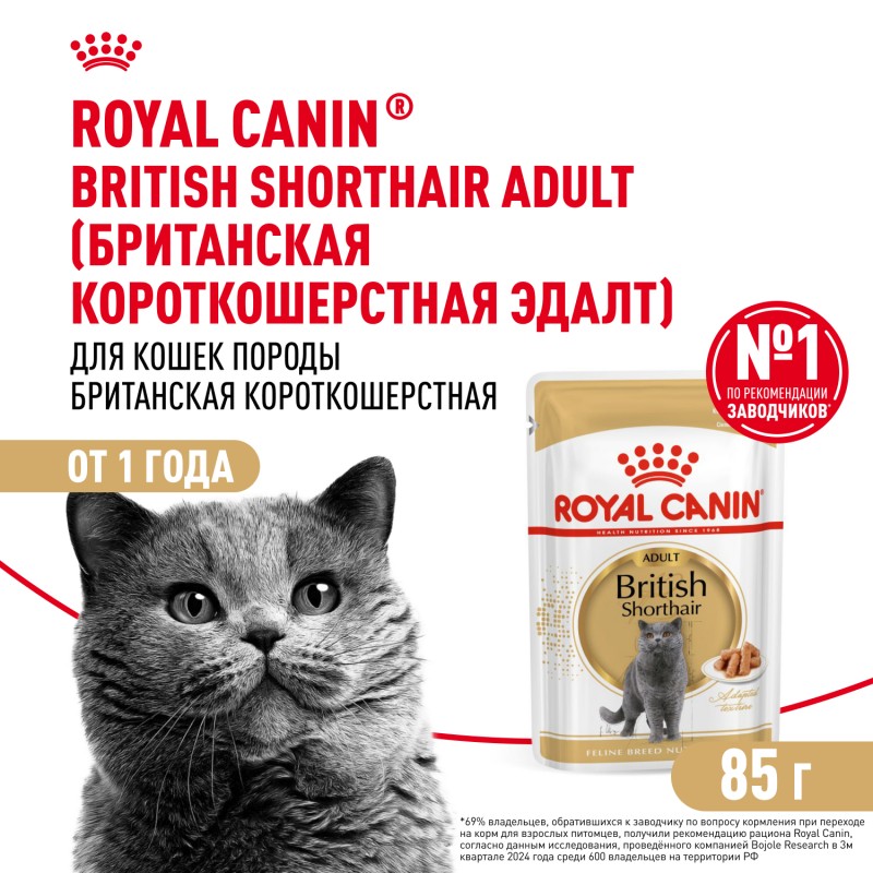 Роял Канин British Shorthair Adult паучи для взрослых британских кошек, мелкие кусочки в соусе 85г